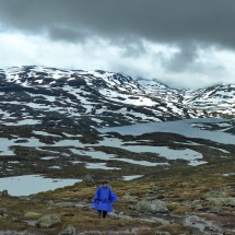 Trip into the Hardangervidda from the highest point of the street over Haukelifjellet
